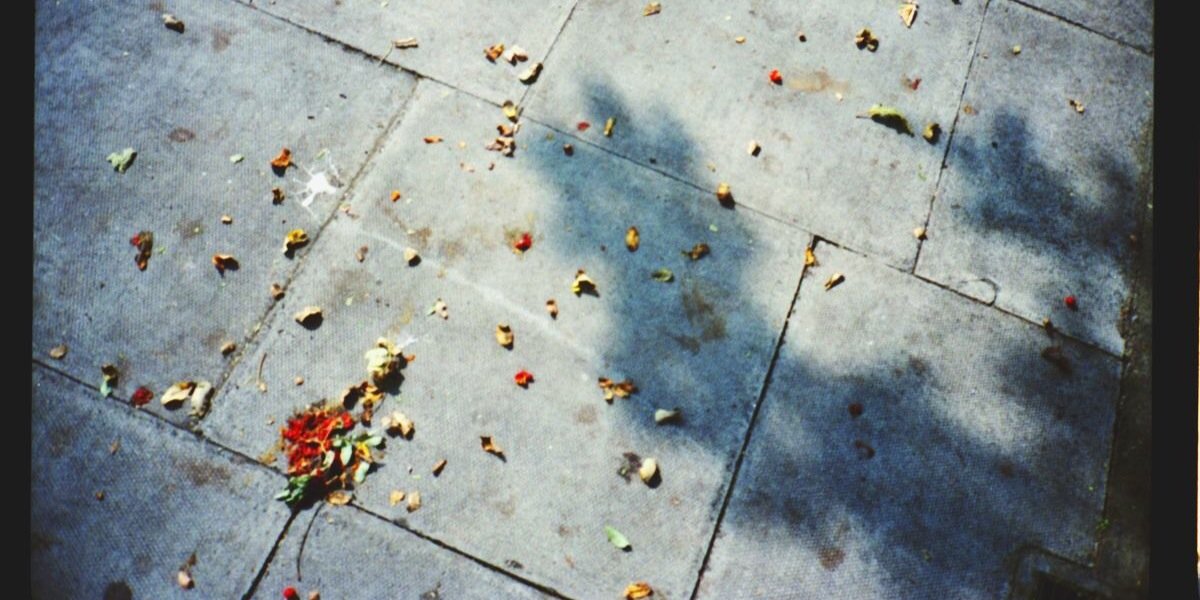 _hellolotta's profile banner image