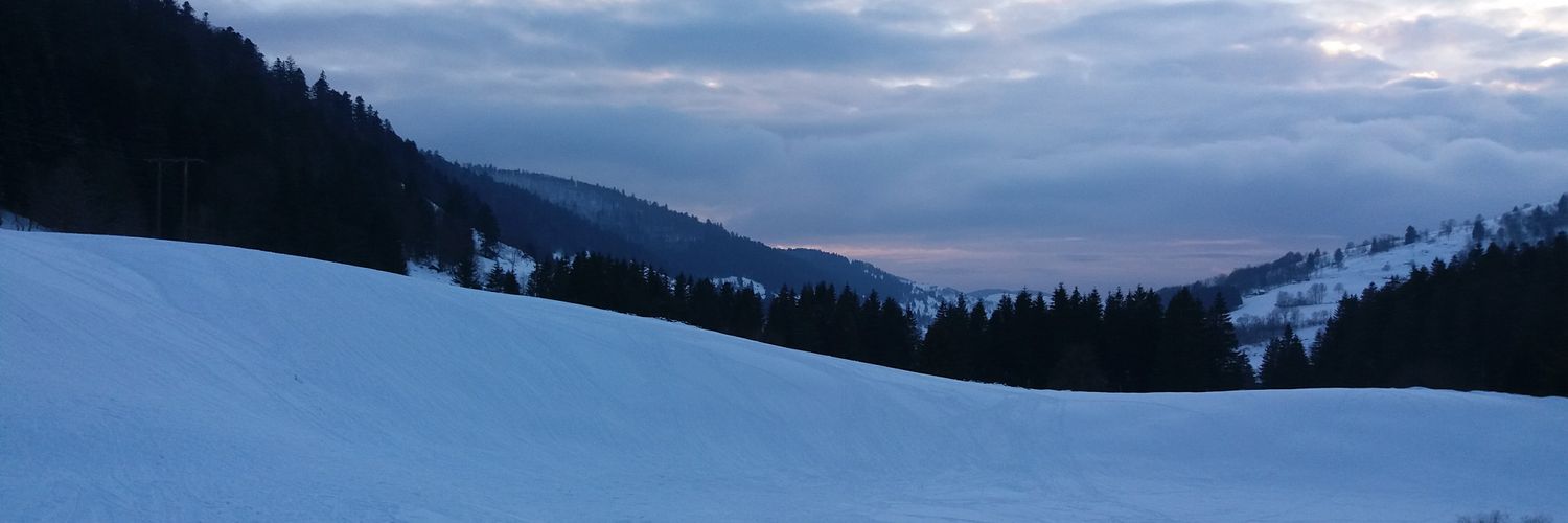 FGerardmer's profile banner image
