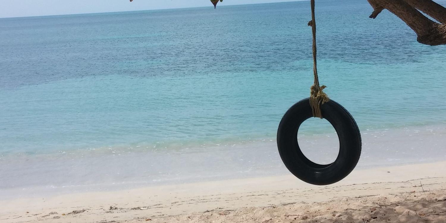 AllisonNash24's profile banner image
