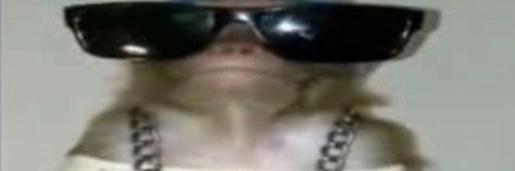 Seb banner