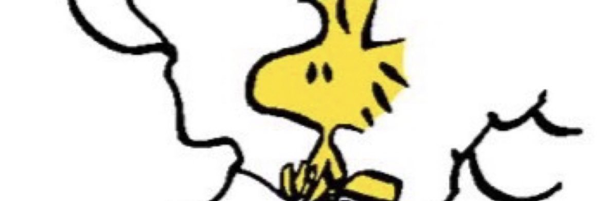 Sc_rennnn's profile banner image