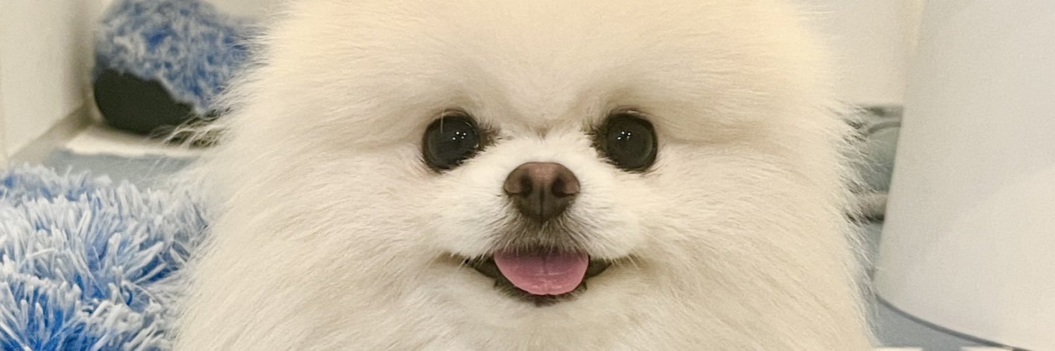 Lefuco's profile banner image
