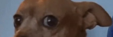 JoshNews's profile banner image