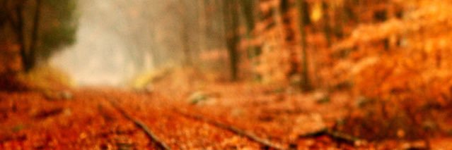 jamieclee21's profile banner image