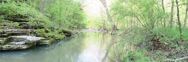 MOsilviculture Profile Banner