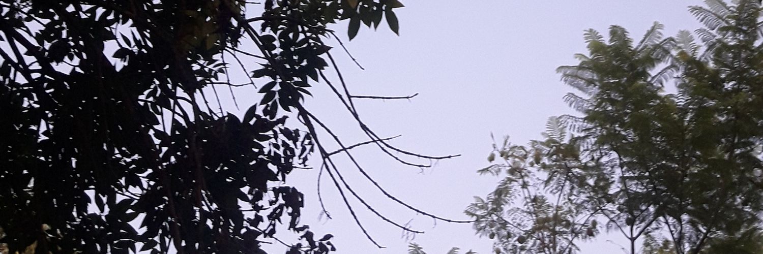 Lucifer banner