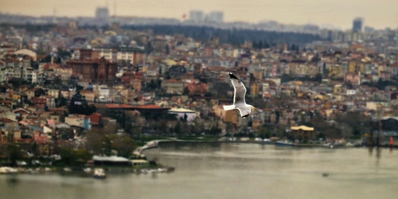 Guven_Avc's profile banner image