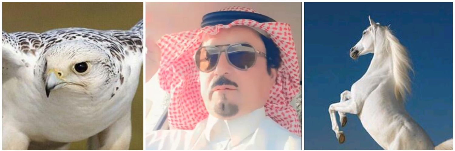 عبدالعزيز العويرضي التميمي banner