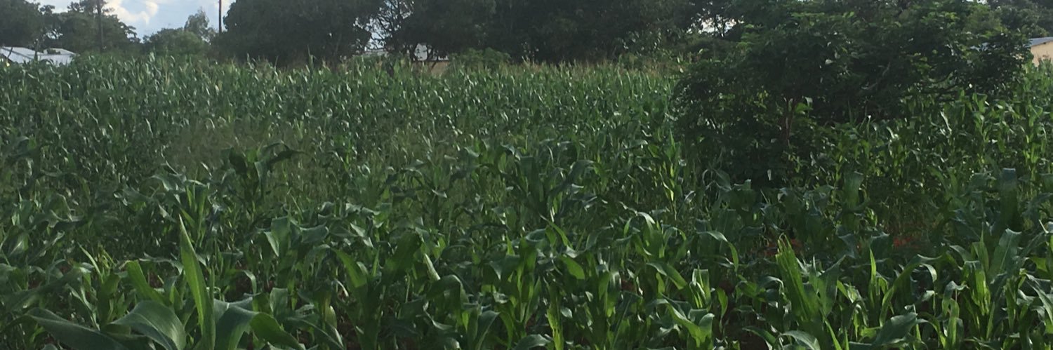 Barnfield Acres🇿🇲 banner