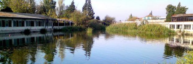 Monkez Almallouhi banner