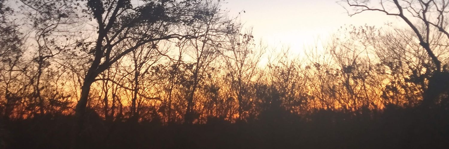 Hedenilson3's profile banner image