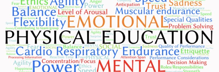 Jeanne Schlevensky banner