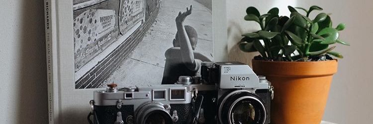 TaylorODore's profile banner image