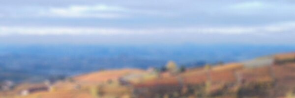 ilovelanghe Profile Banner