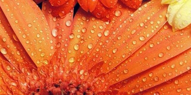 KTaraba's profile banner image