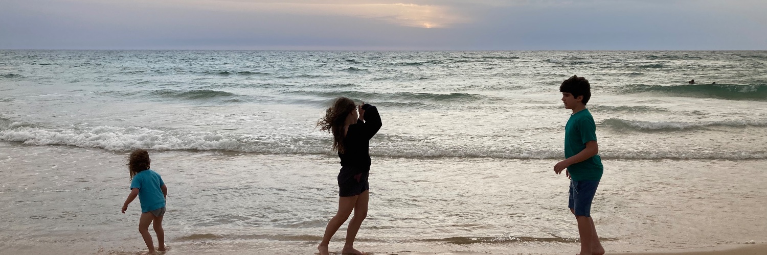 David Polishook banner