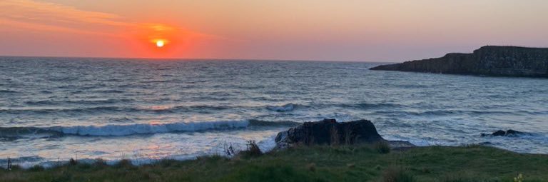 Cathryn 🇺🇦 banner