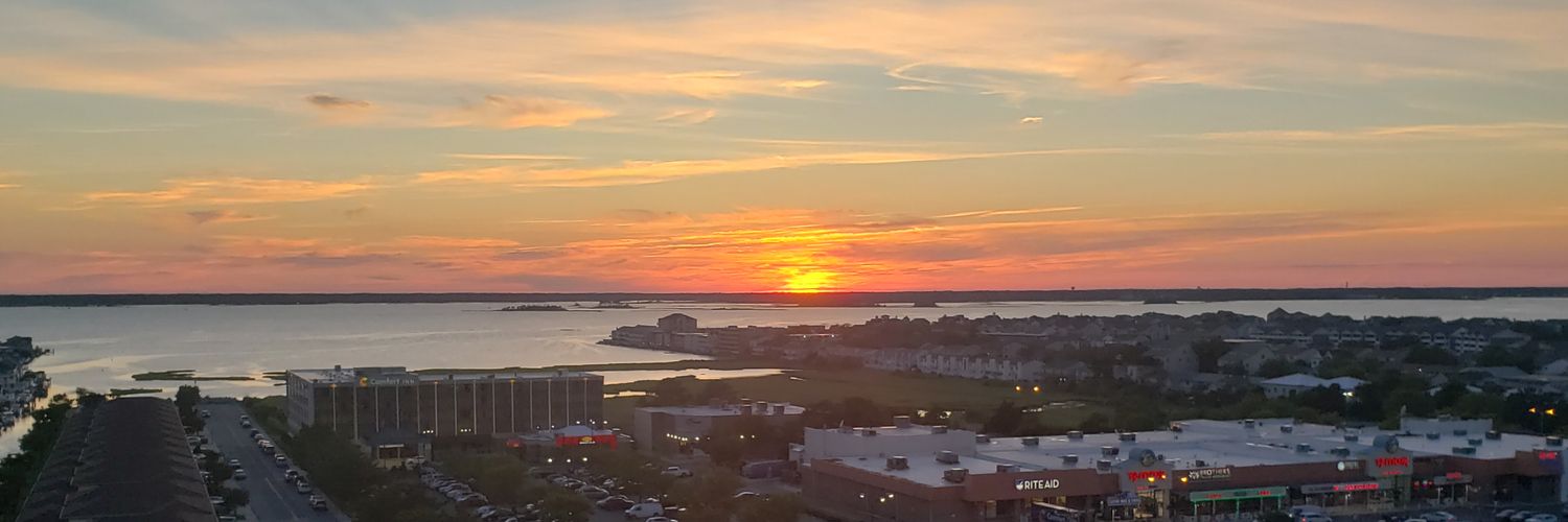 Jen Patterson banner