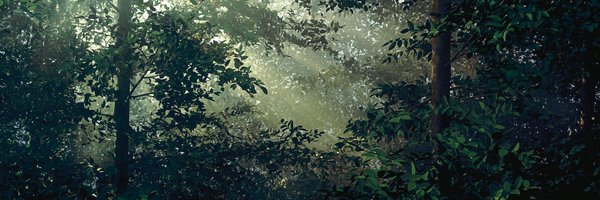 THEMODERNnyc Profile Banner