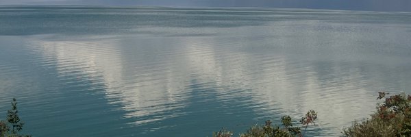 BesaraPodgorica Profile Banner