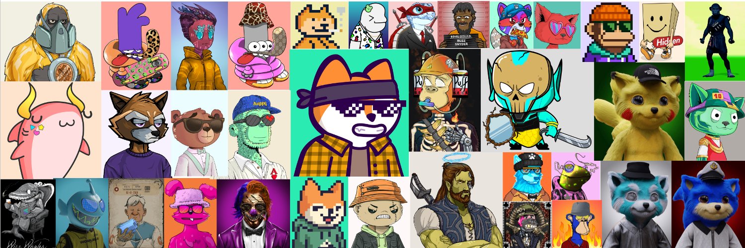 FnManiacᛤ's banner
