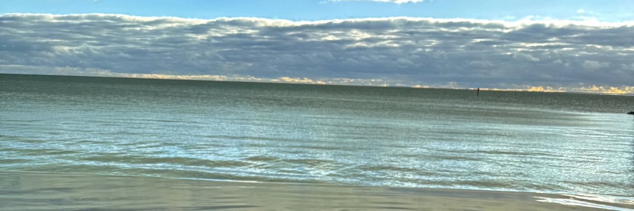 Nick Sewruk banner