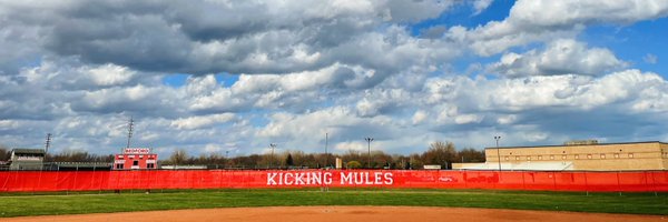 MulesSoftball Profile Banner