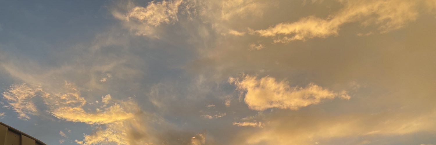 VHainoa's profile banner image