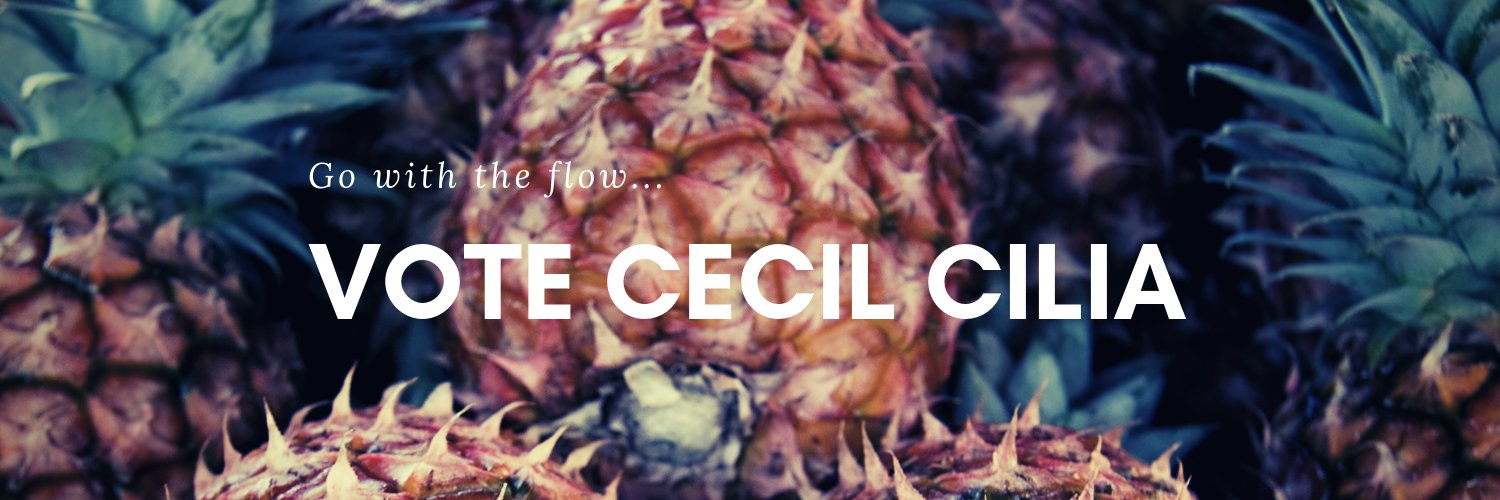 CCillia's profile banner image