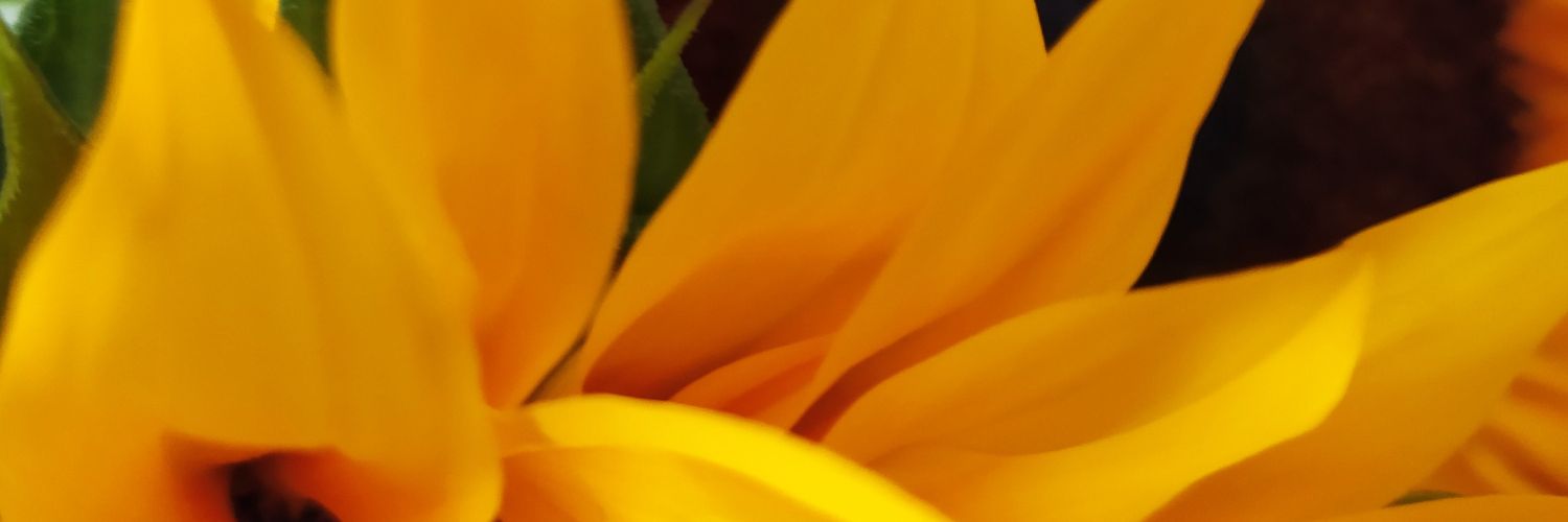 Castellanooos02's profile banner image