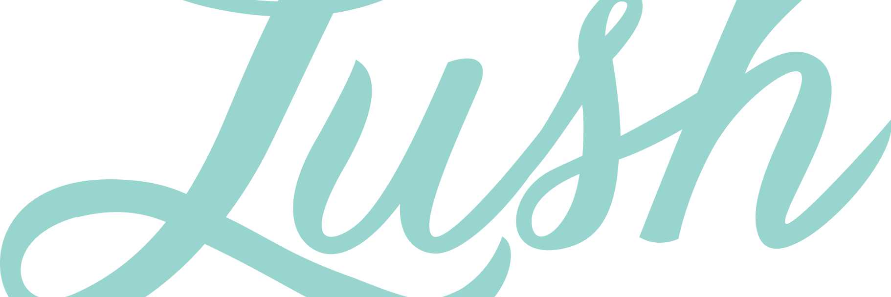 Kathryn Steed banner