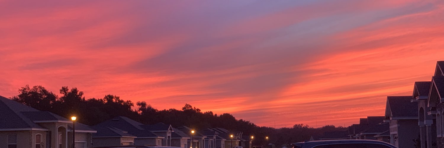 ohiofigment's profile banner image