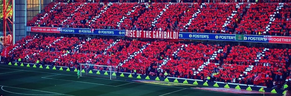 ForestFan95's profile banner image
