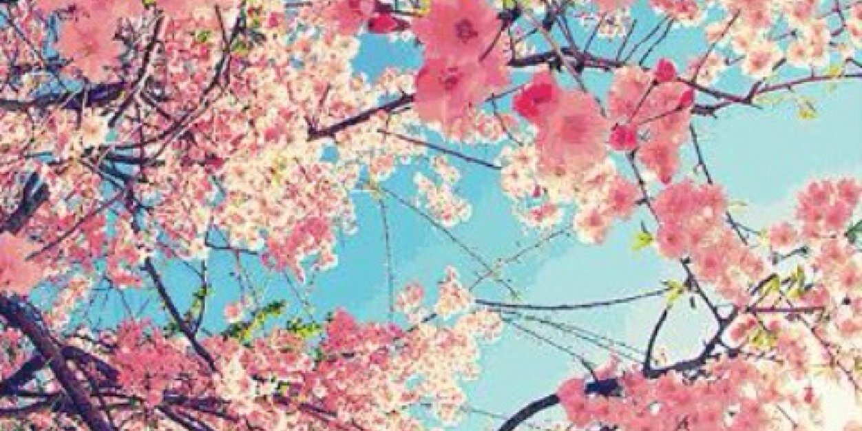 FefiVillalba's profile banner image