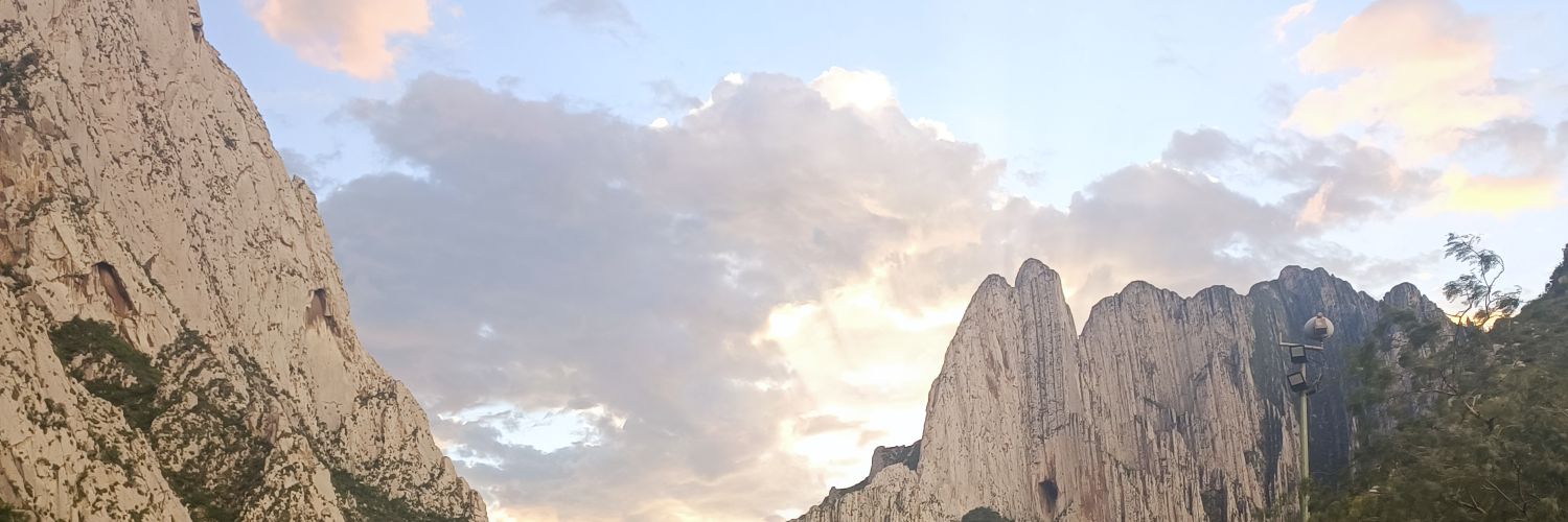 BerSalinas's profile banner image
