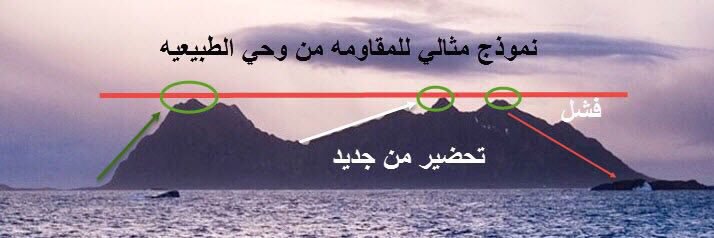 adel_Stock's profile banner image