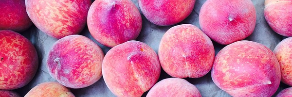 FullBellyFarm Profile Banner