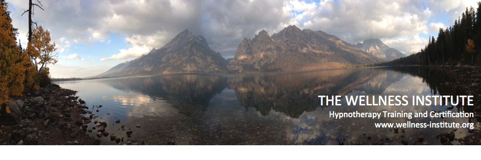 Wellness Institute banner