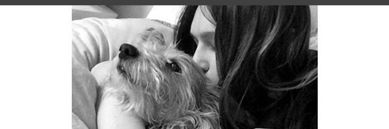 walkerliv's profile banner image