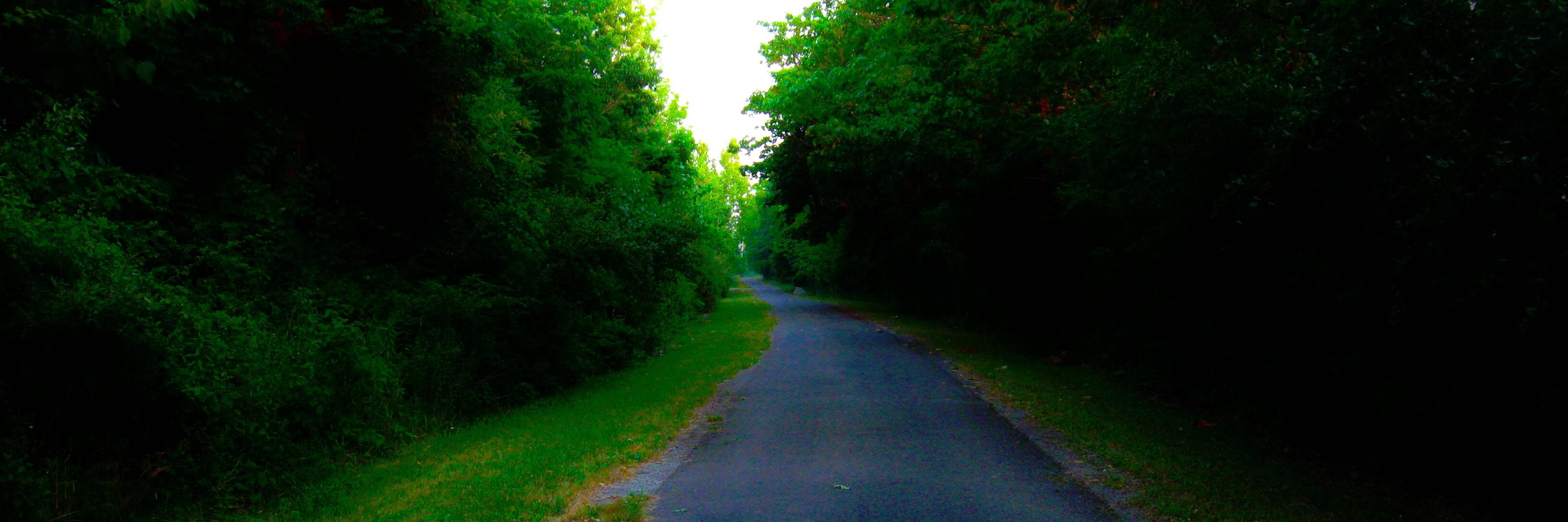 WhereDidtheRoadGo? banner