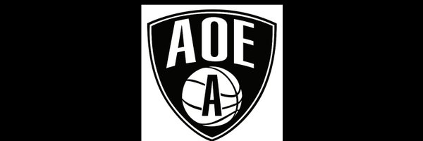 All Out Elite Boys 🛫Travel Basketball Program Profile Banner