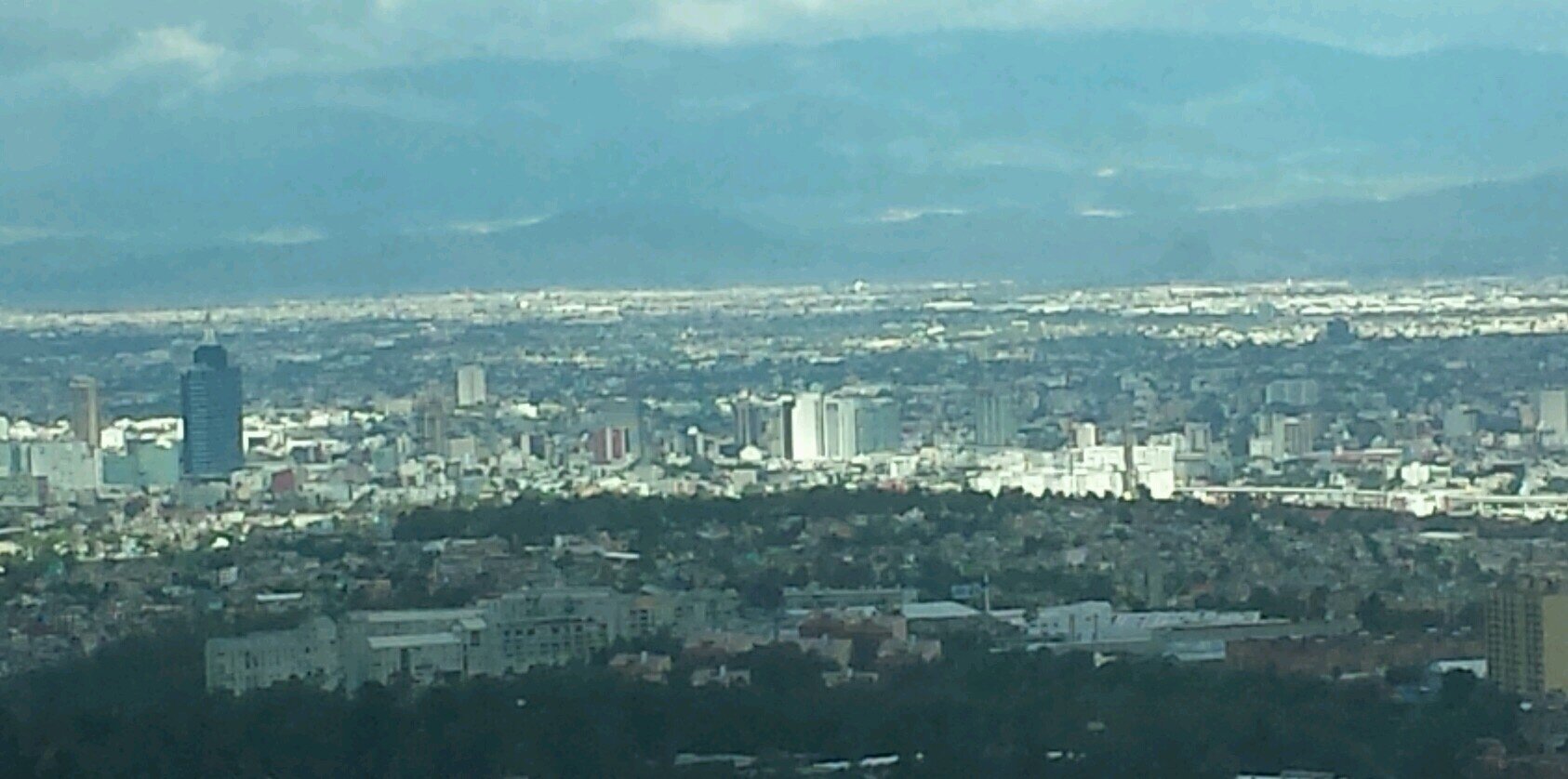 Hector Lopez © banner