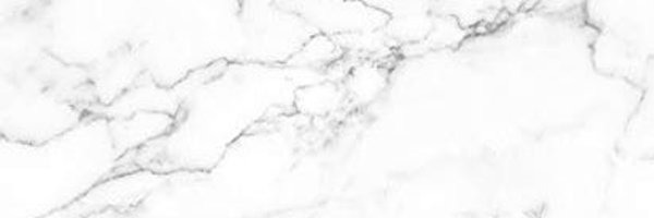 AEPhiTemple Profile Banner