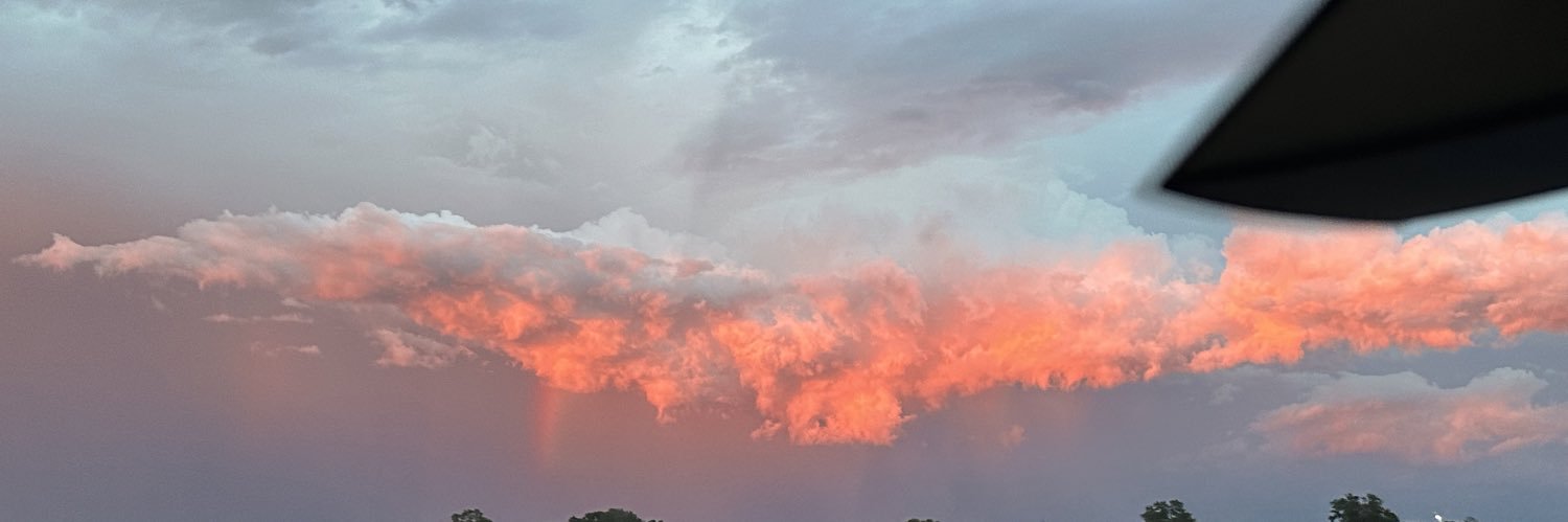 livnlttle's profile banner image