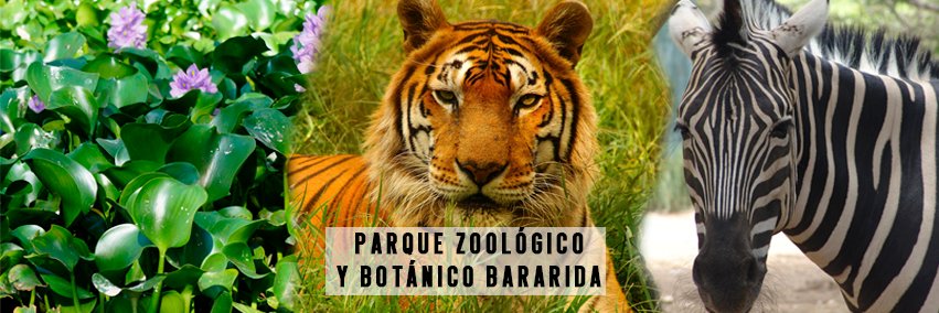 Parque Zoológico y Botánico Bararida banner