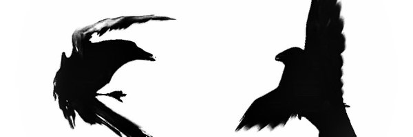 FrfxGren Profile Banner