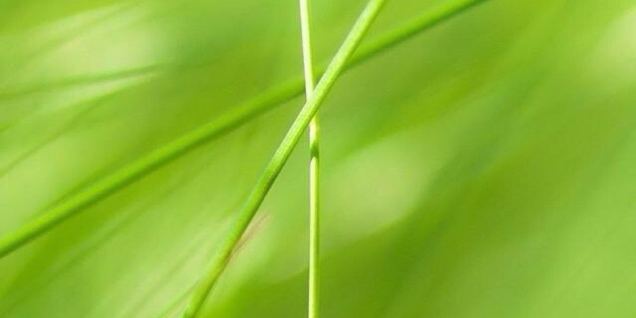 Fred E ⚡️ banner