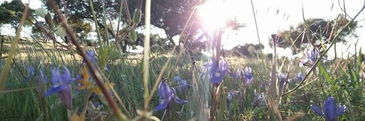 Sogarhu_'s profile banner image