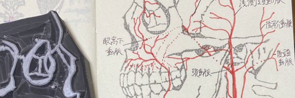 teineko4 Profile Banner