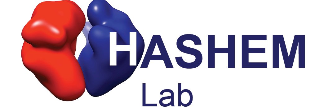 Yaser Hashem's banner
